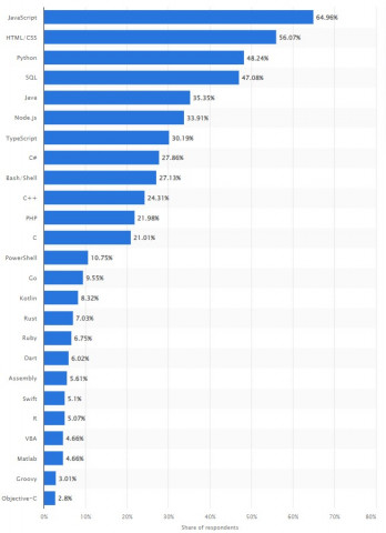 Top Programming Languages That Will Rule in 2025