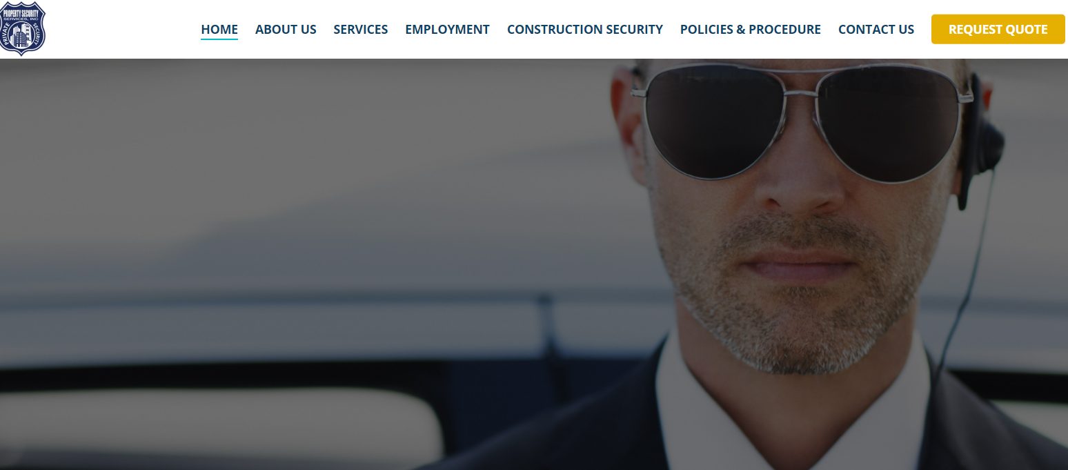 12 examples of inspirational security websites | Fireart Studio