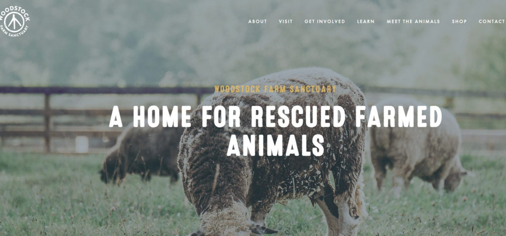 Best Farming Websites Design Examples 7
