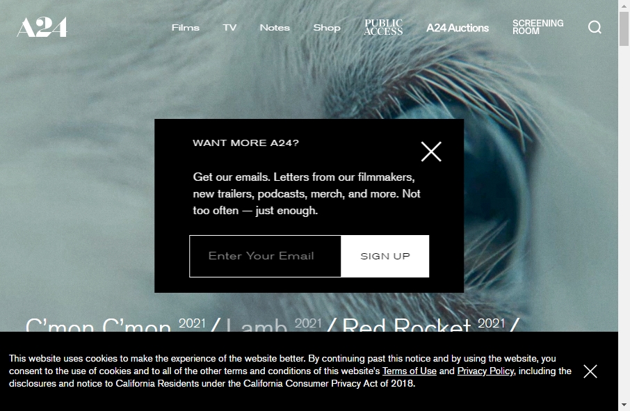 Movie Websites Designs 2