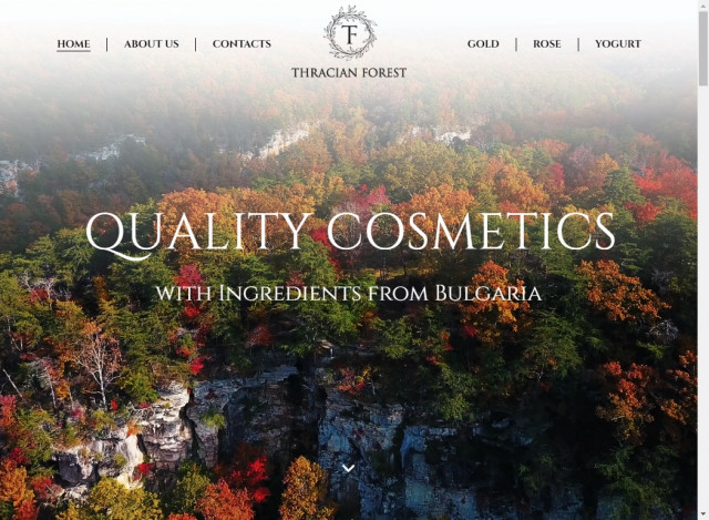 Fancy Site 19 Classy Website Design Examples to Inspire You | Fireart