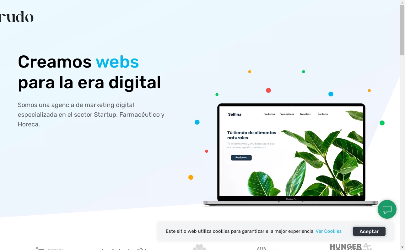 The Best Web Development Companies in Spain 2