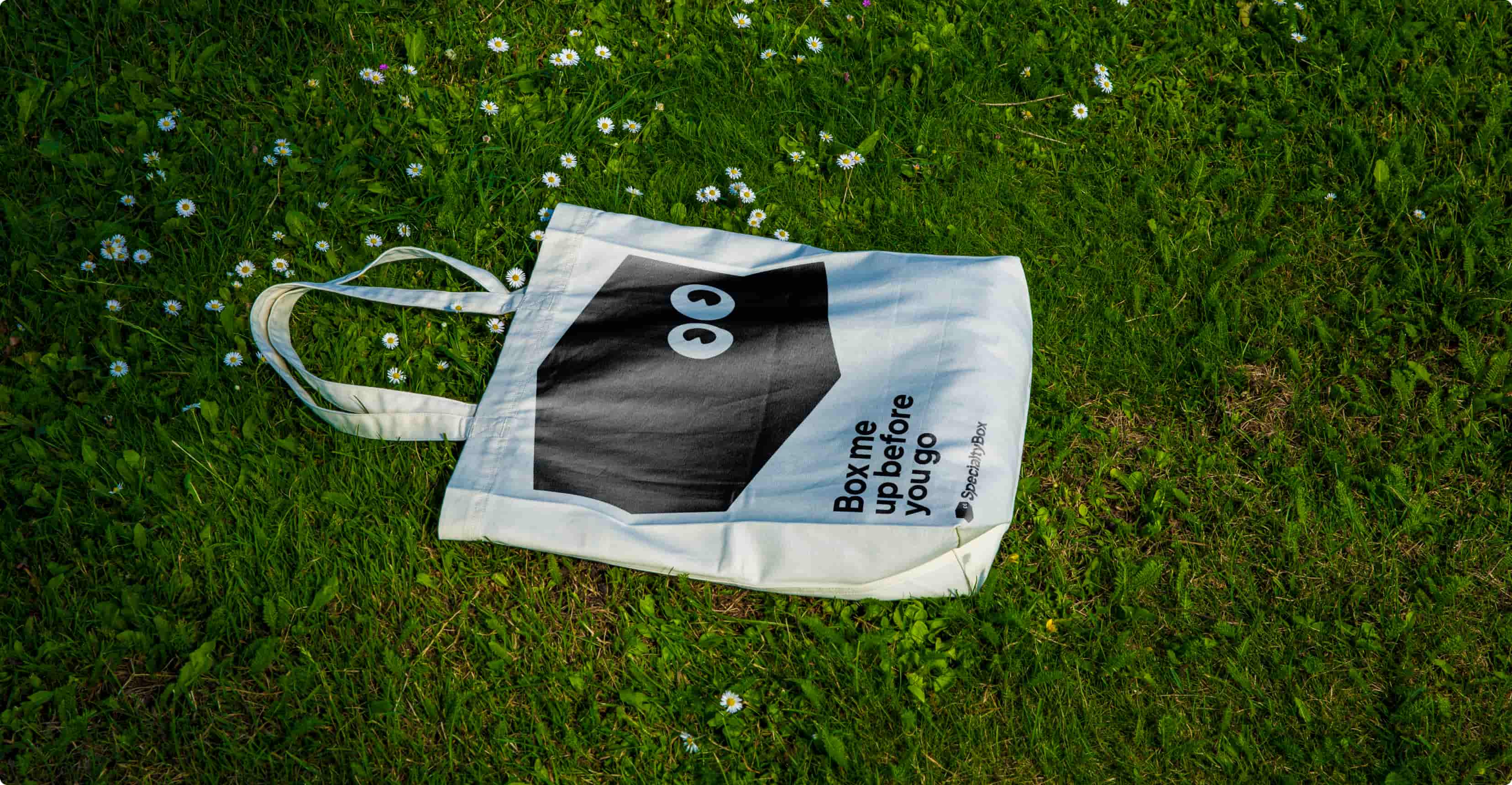 Specialty Box rebranding: building <br>a B2B identity on playful personality