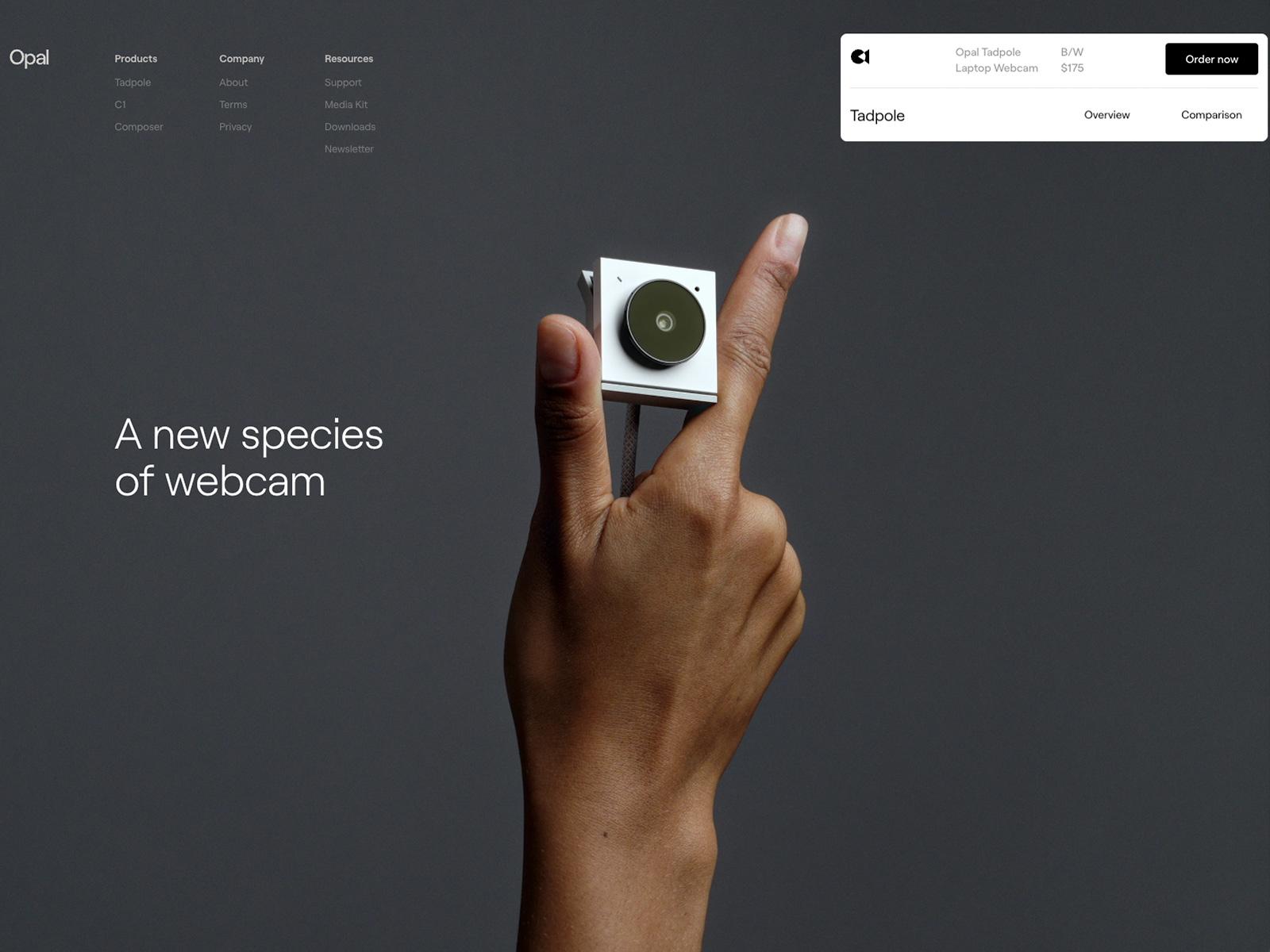 Top Product Website Design: High-Performance UX 3